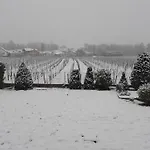 Frühstückspension Aux Pieds Des Vignes Classee 2clefs Proximite Des Marches De Printemps Ingersheim