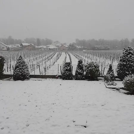 Panzió Aux Pieds Des Vignes Classee 2clefs Local Pour Velos Ingersheim