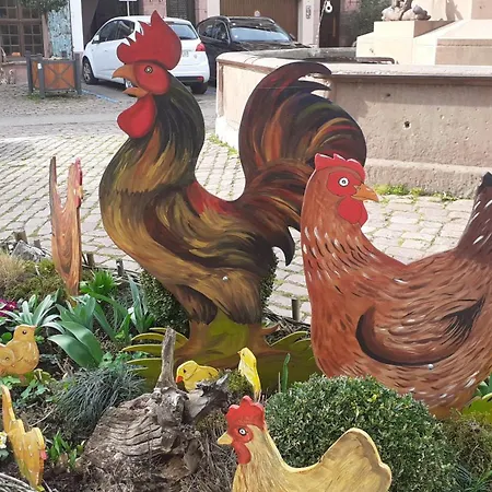 Aux Pieds Des Vignes Bed & Breakfast