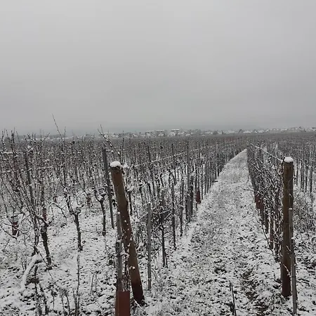 Nocleg ze śniadaniem Aux Pieds Des Vignes Classee 2clefs Proximite Des Marches De Printemps