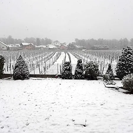 Aux Pieds Des Vignes Classee 2clefs Local Pour Velos Ingersheim