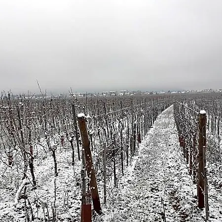 Bed and Breakfast Aux Pieds Des Vignes Classee 2clefs Local Pour Velos
