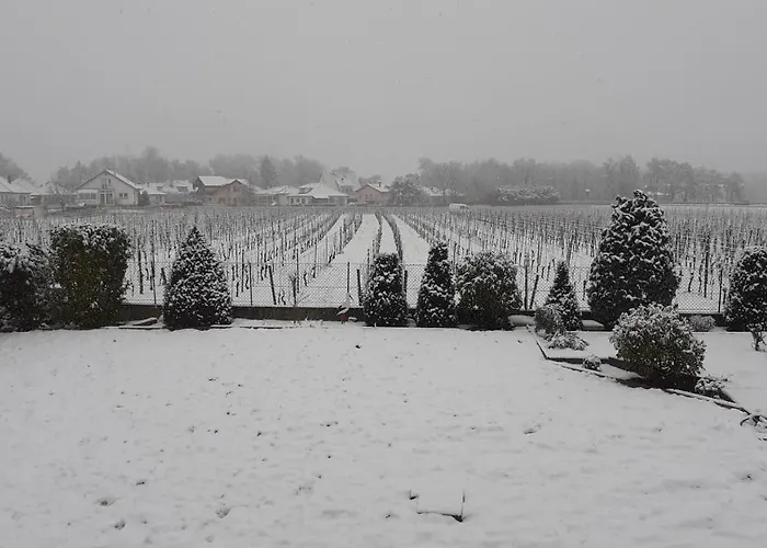 Nocleg ze śniadaniem Aux Pieds Des Vignes Classee 2clefs Proximite Des Marches De Printemps Ingersheim