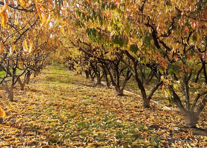 Aux Pieds Des Vignes Classee 2clefs Proximite Des Marches De Printemps Nocleg ze śniadaniem